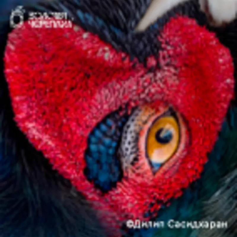 Магнит MAG1-03, Дилип Сасидхаран