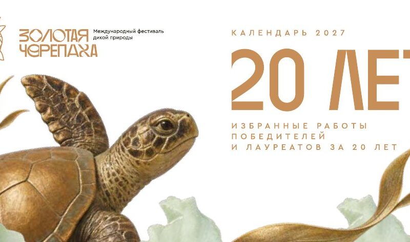 Календарь-домик настольный «Золотая Черепаха. Лучшие работы» 2027 — светлый вариант