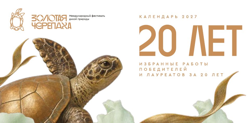 Календарь-домик настольный «Золотая Черепаха. Лучшие работы» 2027 — светлый вариант