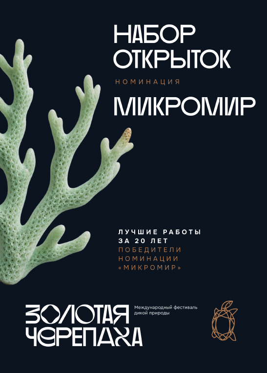 Набор открыток «Микромир» — коллекция «Золотая Черепаха», 20 лет