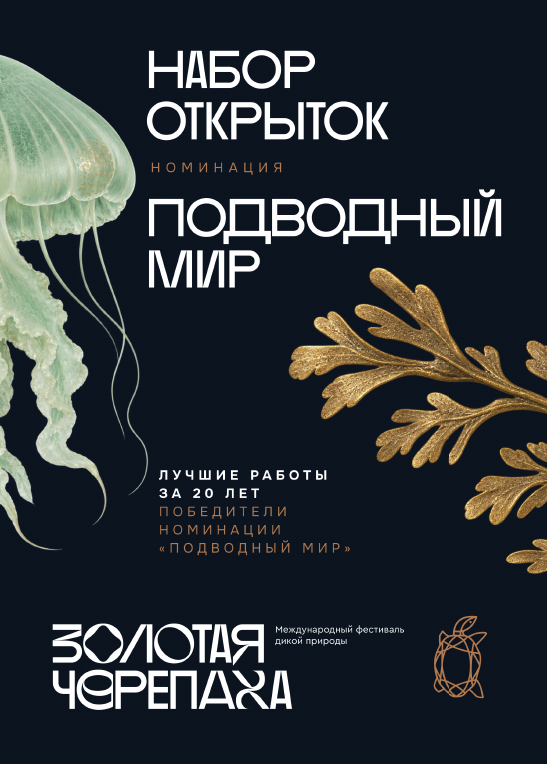 Набор открыток «Подводный мир» — коллекция «Золотая Черепаха», 20 лет