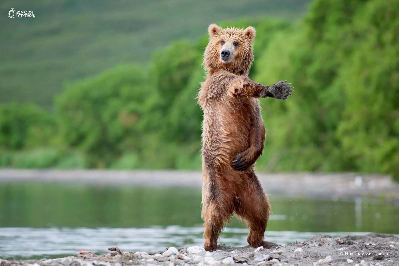 I Like to Move It! — Николай Зиновьев