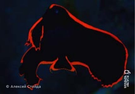 Магниты — «Подводный костёр» — Алексей Стойда