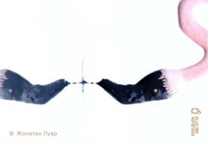 Магниты — «Перо и чернильница» — Жонатан Луар