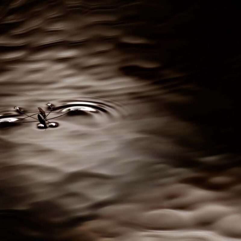 Постеры — «Танцуя на воде» — Юлия Втюрина